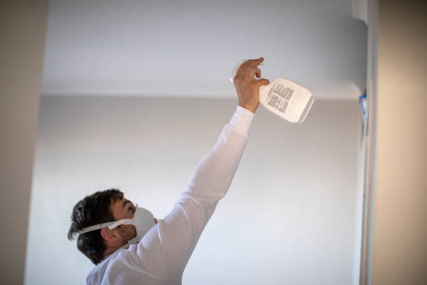 Best White Mold Remediation in Harriman, TN