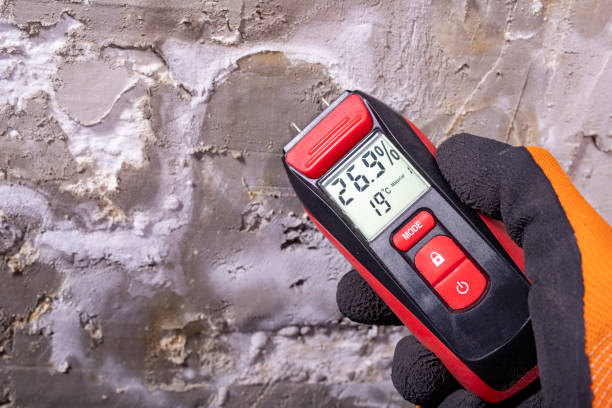 Professional Mold Remediation in Harriman, TN