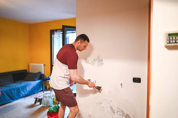 Best Insurance-Related Mold Remediation in Harriman, TN