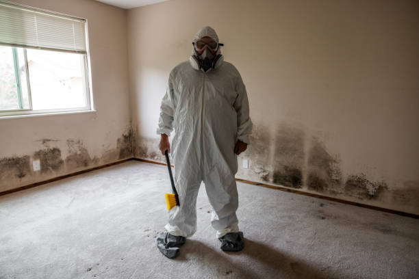 Best Mold Testing and Inspection Services in Harriman, TN
